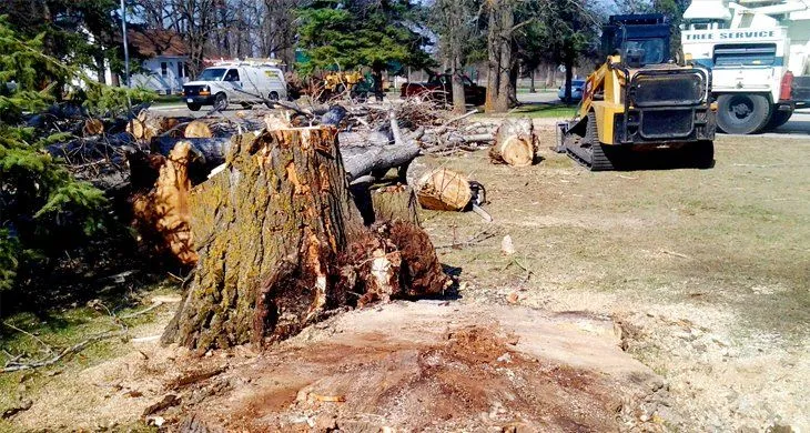 6879350-730x390-960w-1920w